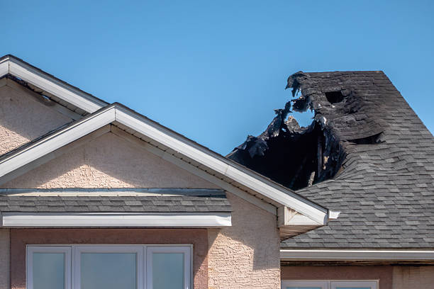 Top rated local Odor Removal specialists in Drexel Hill, PA